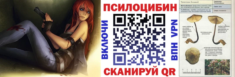 Псилоцибиновые грибы Psilocybine cubensis  купить закладку  мега онион  Александровское 